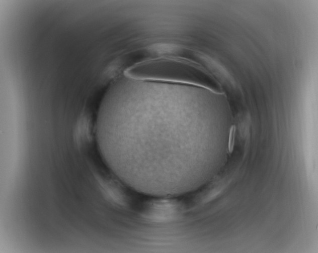 X0000115770316200911201224