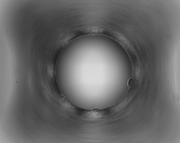 X0000115770326200911201223