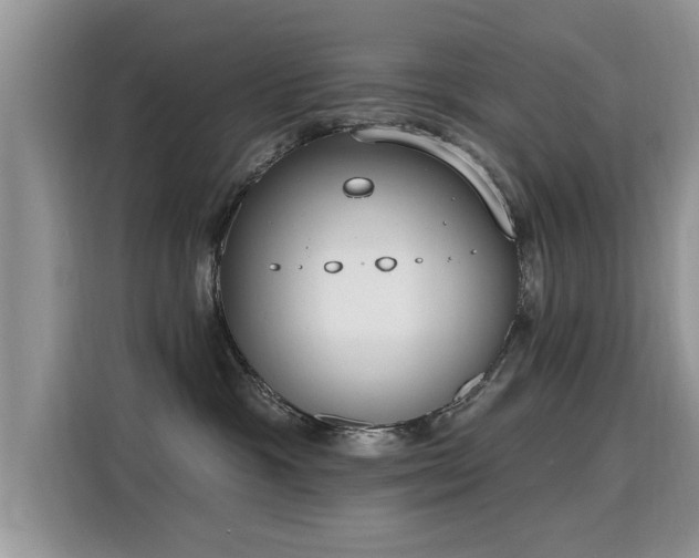 X0000115770333200911201223