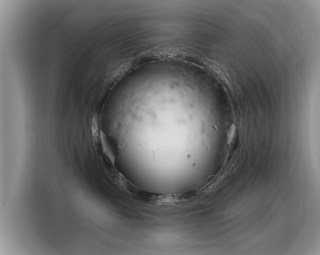 X0000115770335200911201223