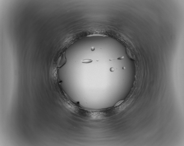 X0000115770336200911201223