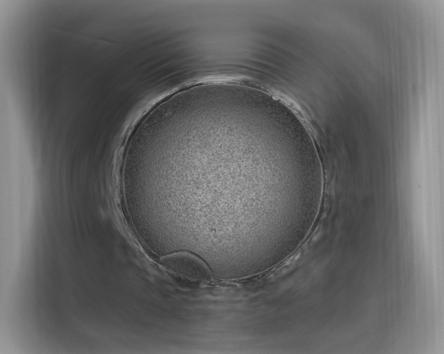 X0000115770337200911201223