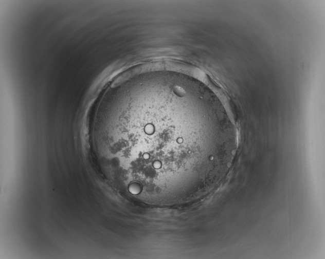 X0000115770339200911201223