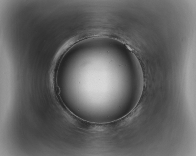 X0000115770341200911201223