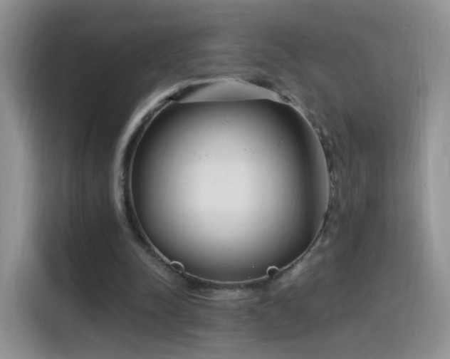 X0000115770342200911201223