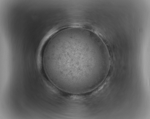X0000115770343200911201223