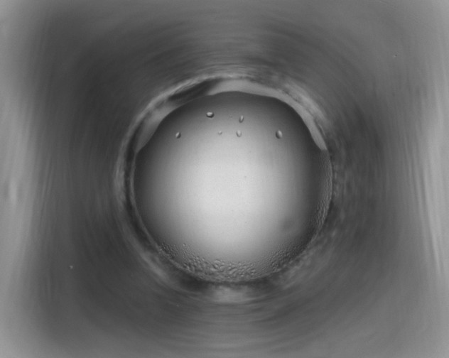 X0000115770346200911201223