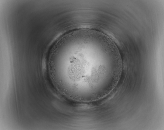 X0000115770347200911201223
