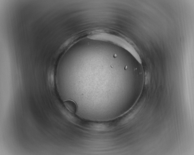 X0000115770349200911201223