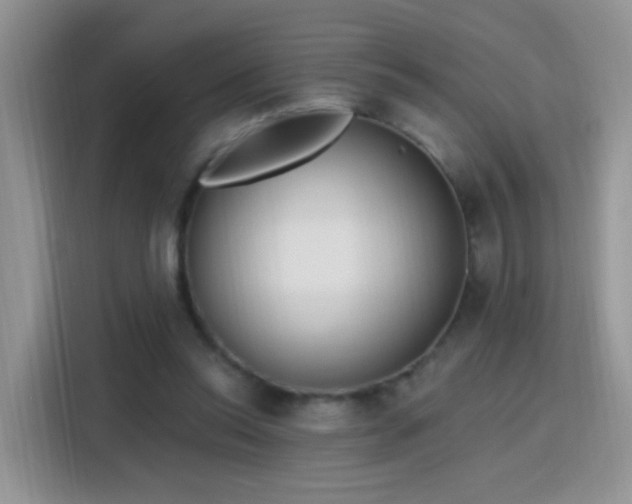 X0000115770350200911201223