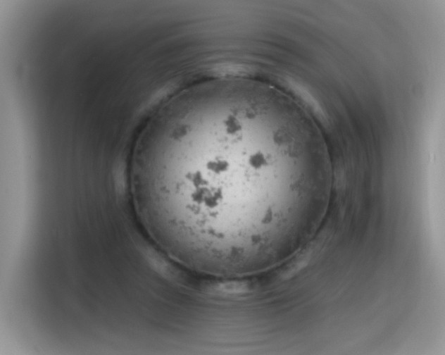 X0000115770353200911201223