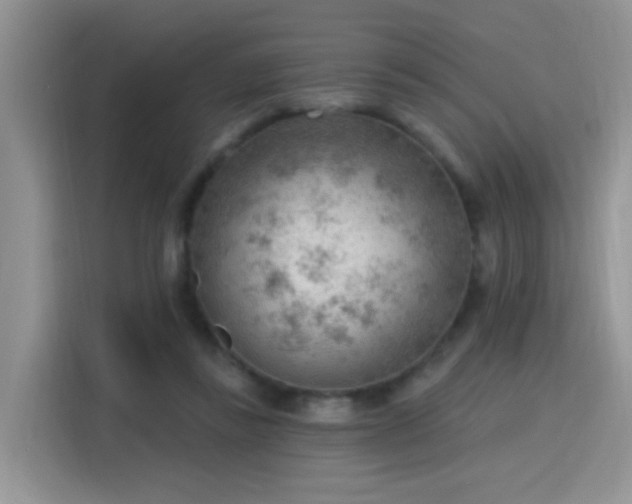 X0000115770355200911201223
