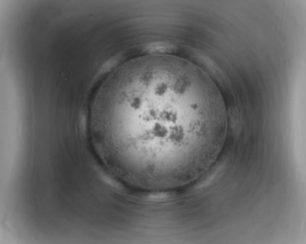 X0000115770357200911201223