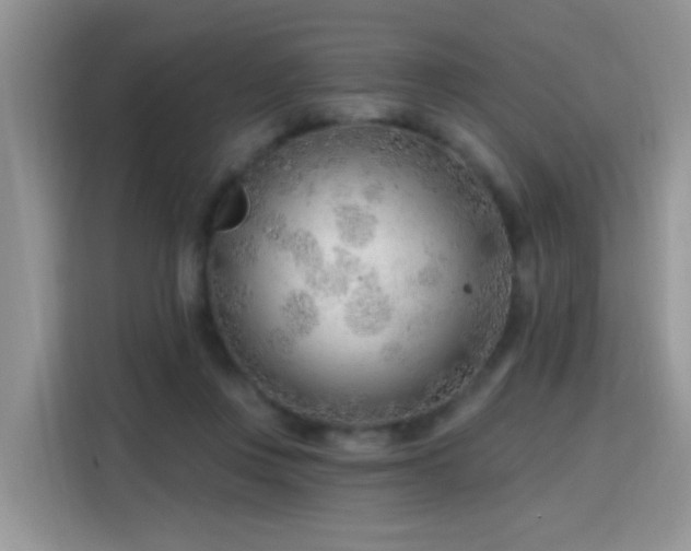 X0000115770359200911201223