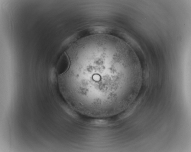 X0000115770361200911201223