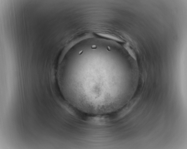 X0000115770366200911201223