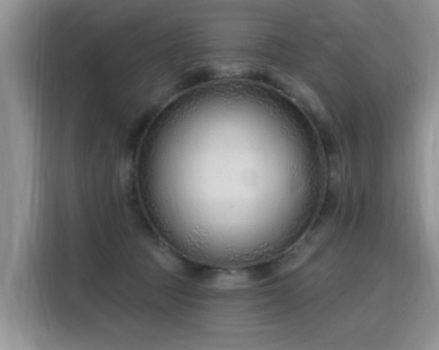 X0000115770369200911201223