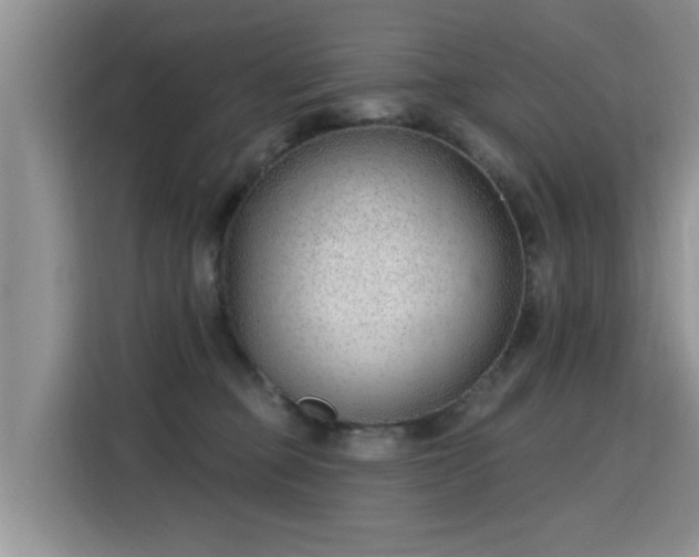 X0000115770373200911201223
