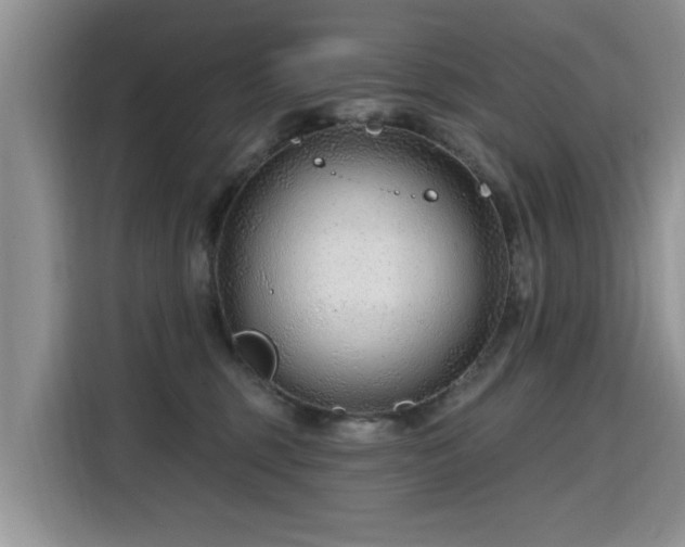 X0000115770375200911201223