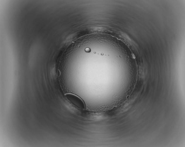 X0000115770377200911201223