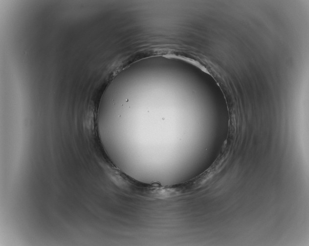 X0000115770379200911201223