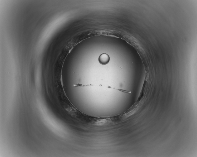 X0000115770382200911201223