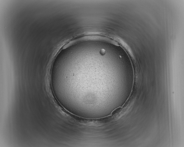 X0000115770385200911201223