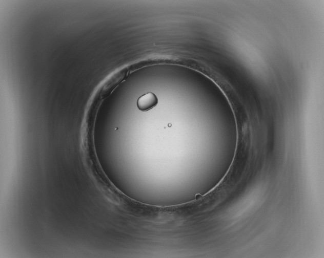 X0000115770388200911201223