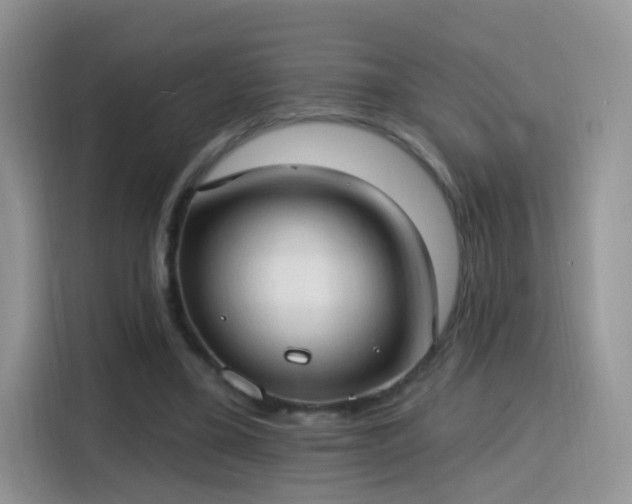 X0000115770395200911201222