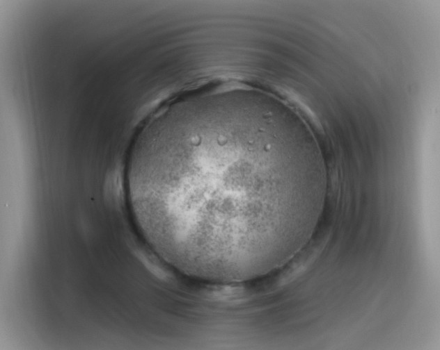 X0000115770398200911201222