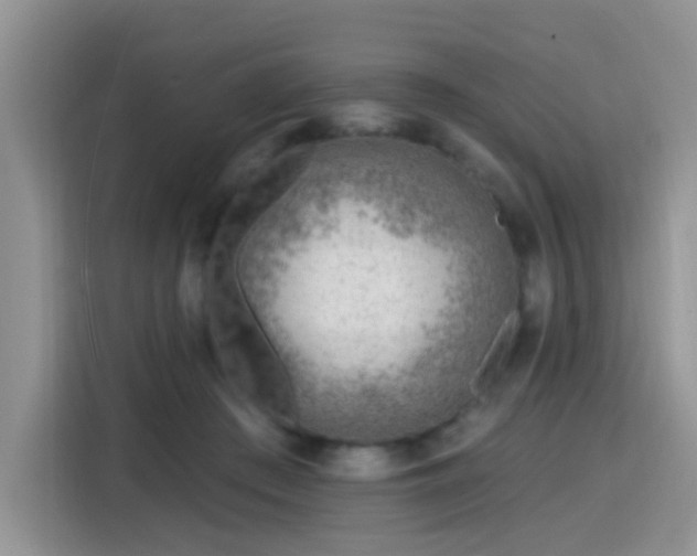 X0000115770409200911201222