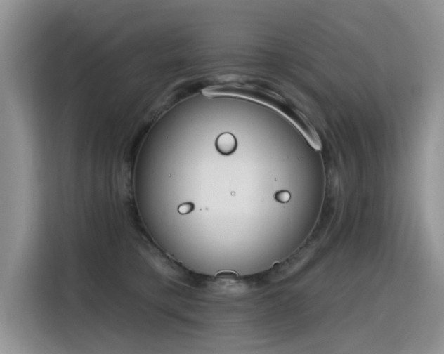X0000115770421200911201222