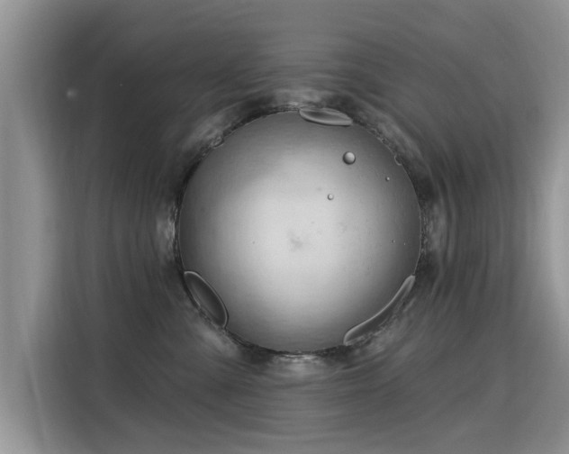 X0000115770427200911201222