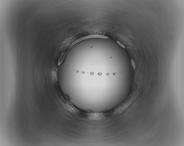X0000115770432200911201222
