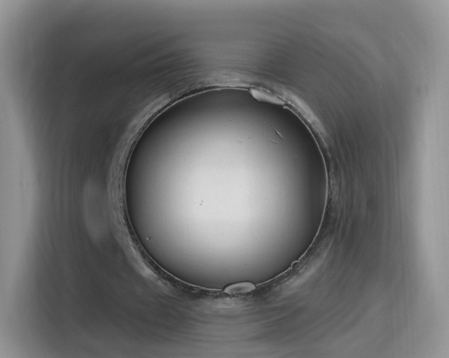 X0000115770433200911201221