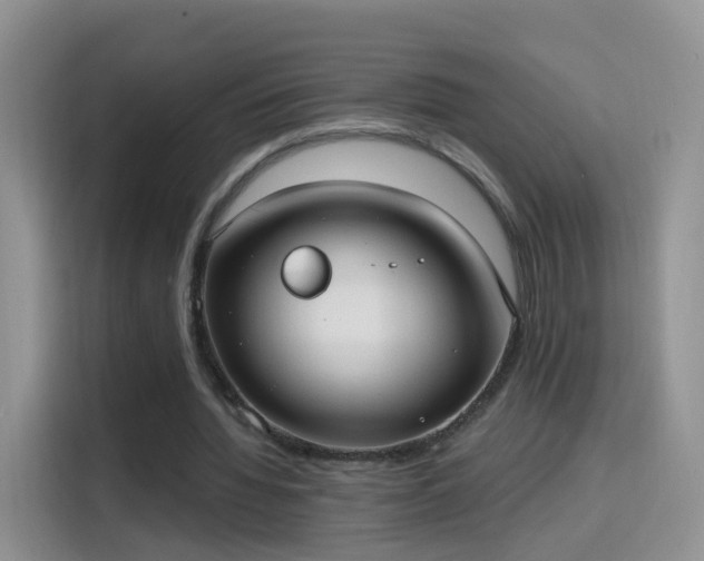 X0000115770436200911201221