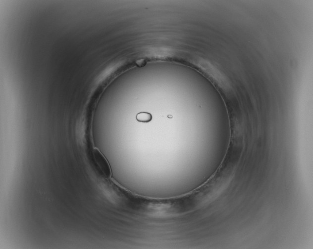 X0000115770440200911201221