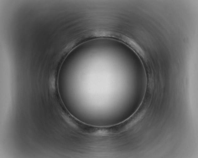 X0000115770441200911201221