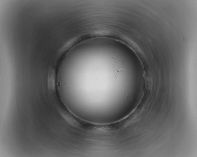 X0000115770446200911201222
