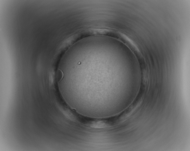X0000115770451200911201222