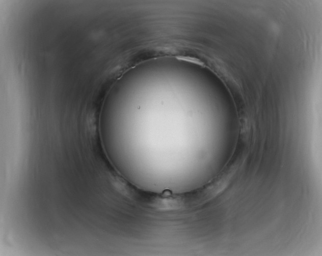 X0000115770466200911201222