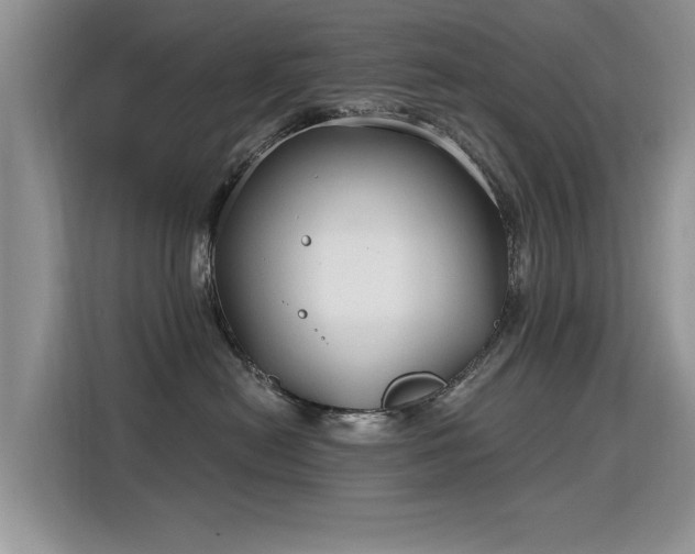 X0000115770478200911201222
