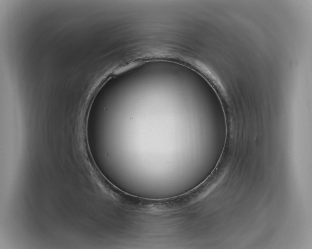 X0000115770481200911201221