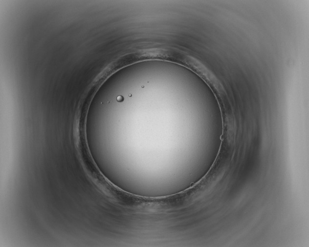 X0000115770482200911201221