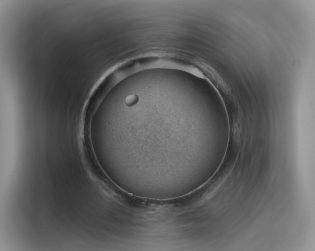 X0000115770484200911201221