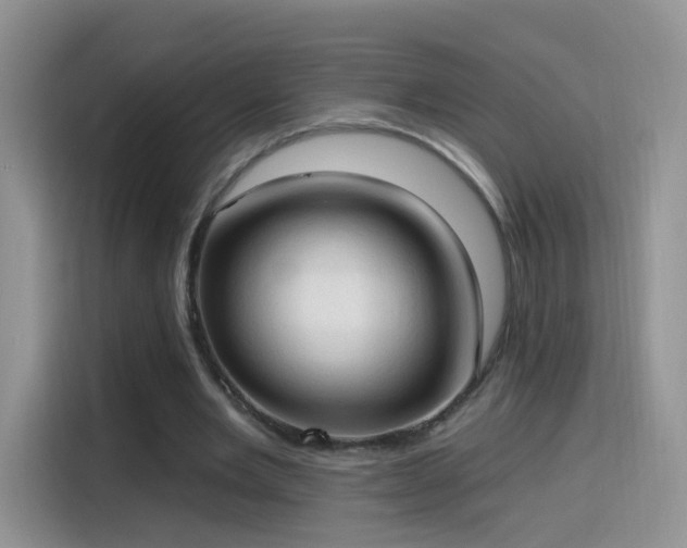 X0000115770485200911201221