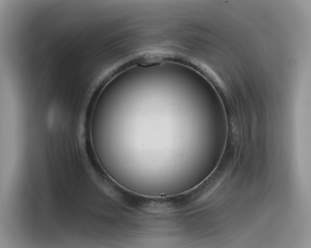 X0000115770487200911201221