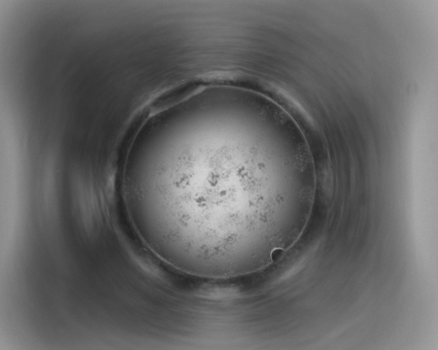 X0000115770491200911201221