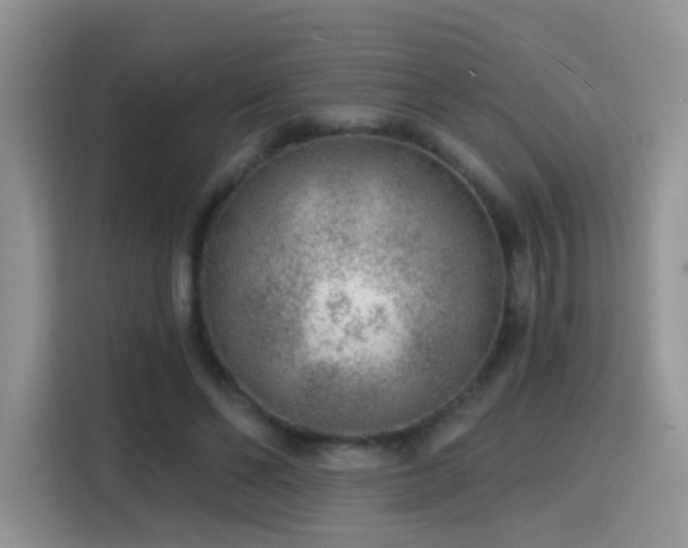 X0000115770494200911201221