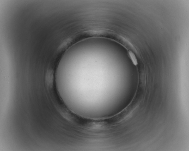 X0000115770495200911201221
